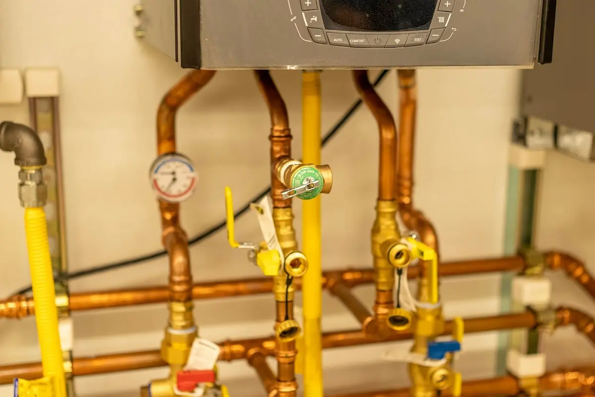 Licensed technician providing Sump Pump Repair for a homeowner in California